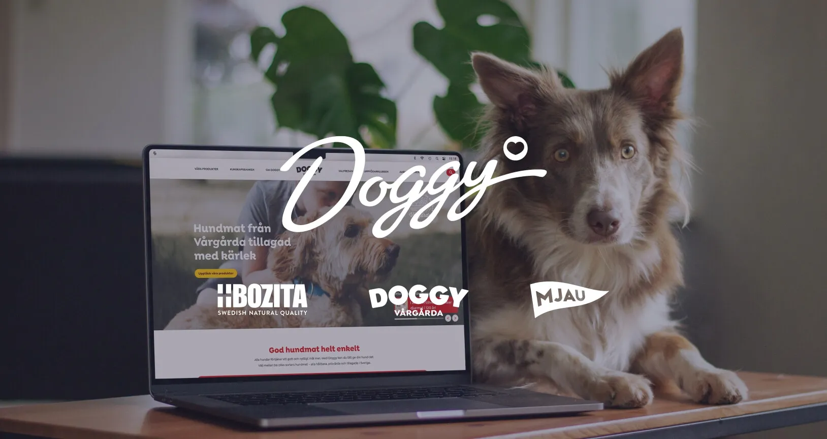 Doggy AB (now PPF Nordics AB)