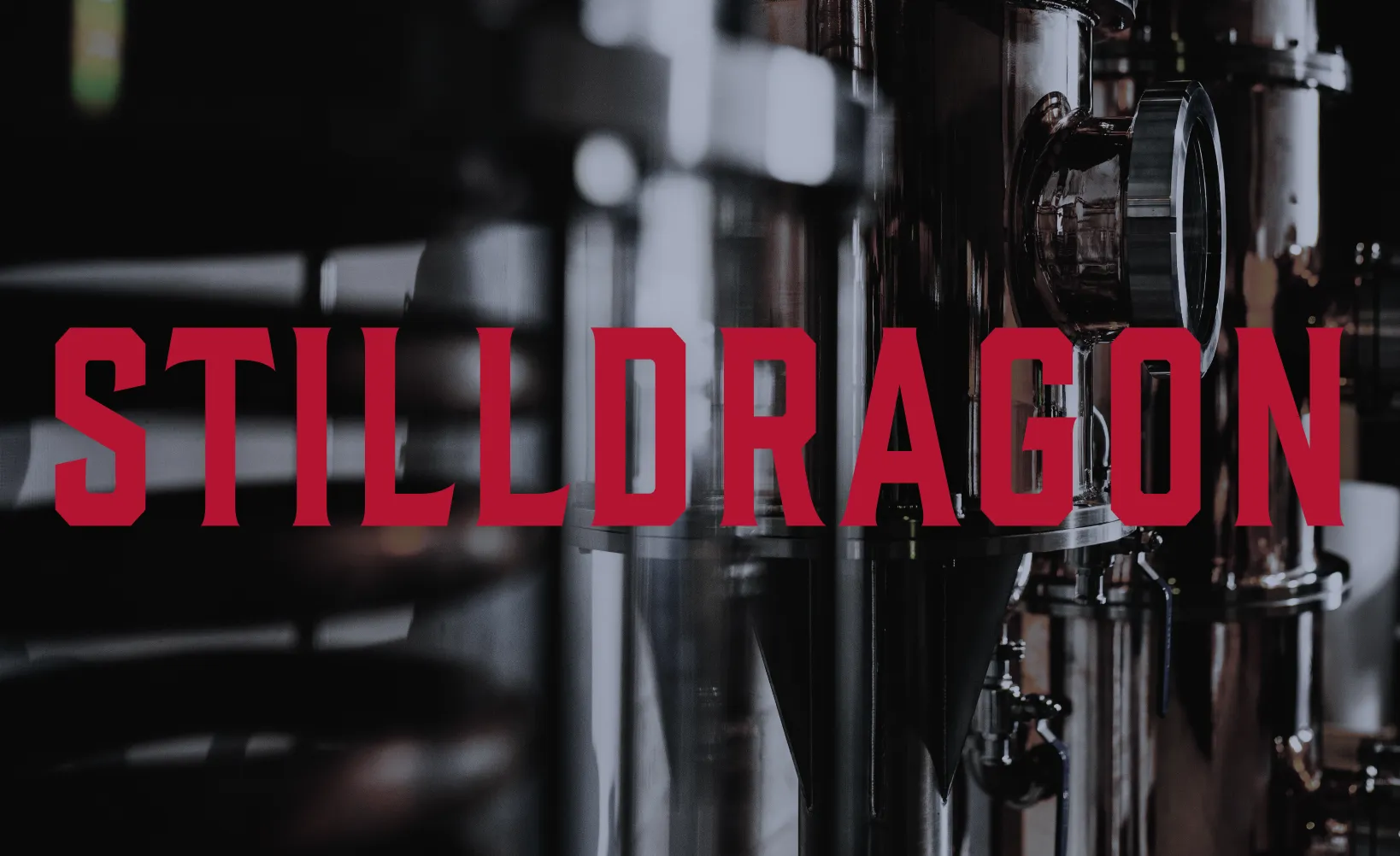 StillDragon - Brand & Web platform